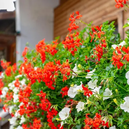 Am Bauernhof 3 Daire *