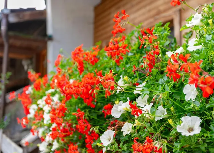 Am Bauernhof 3 Alpbach